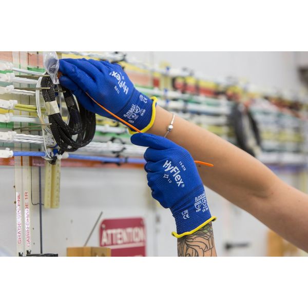Foam Nitrile Coated Gloves, Palm Coverage, Blue, 8, PR
