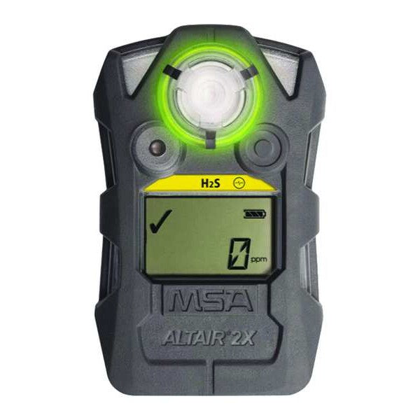 Gas Detector, Hydrogen Sulfide