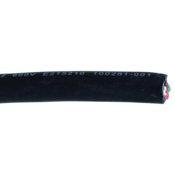 12 AWG 4 Conductor Portable Cord 600V 50 ft. BK