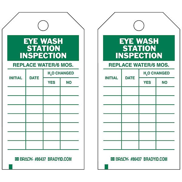 Inspection Tag, 7inHx4inW, HD Poly., PK10