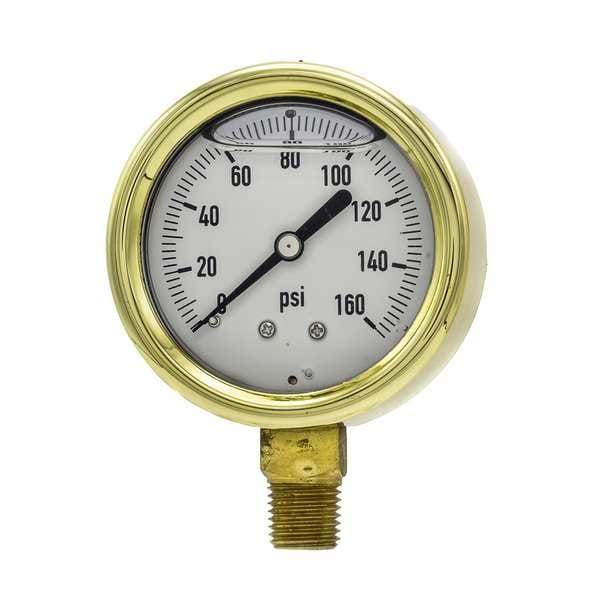 Pressure Gauge, 0 to 160 psi, 1/4 in MNPT, Brass, Gold