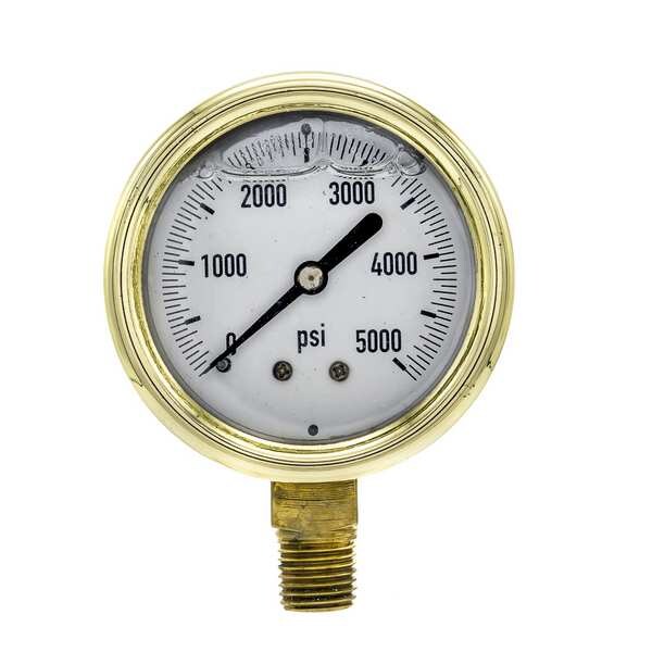 Pressure Gauge, 0 to 5000 psi, 1/4 in MNPT, Brass, Gold