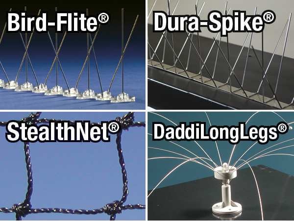 Bird Repellent, Daddi Long Legs, 4 ft.