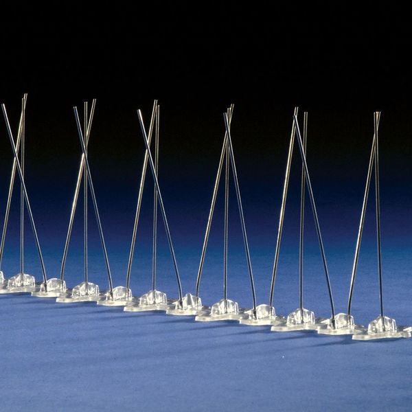 Bird Repellent Spikes, Bird-Flite, 100 ft.