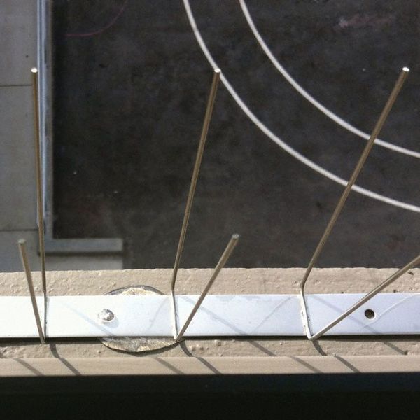 Bird Repellent Spikes, Bird-Flite, 10 ft.