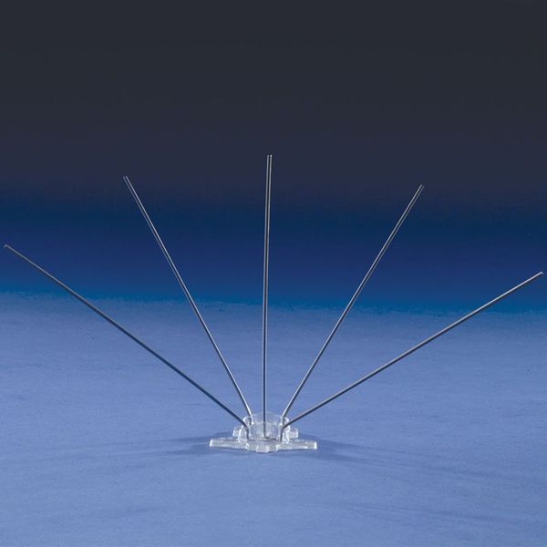 Bird Repellent Spikes, Bird-Flite, 50 ft.