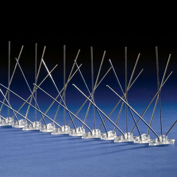 Bird Repellent Spikes, Bird-Flite, 100 ft.