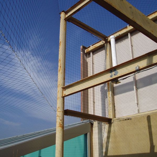 Bird Repellent Net, StealthNet, 25x25 ft.