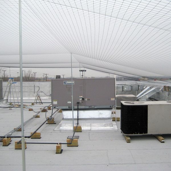Bird Repellent Net, StealthNet, 25x25 ft.