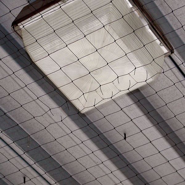 Bird Repellent Net, StealthNet, 25x25 ft.