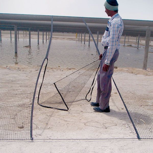 Bird Repellent Net, StealthNet, 25x25 ft.