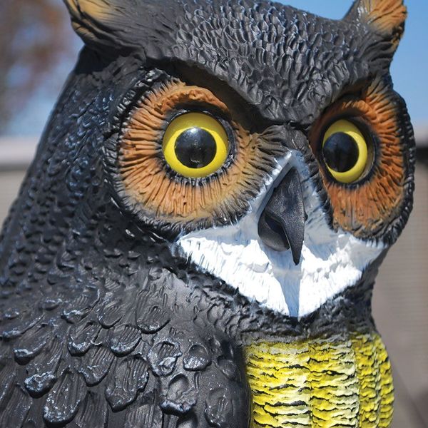 Visual/Audio Bird Repellers, Screech-Owl
