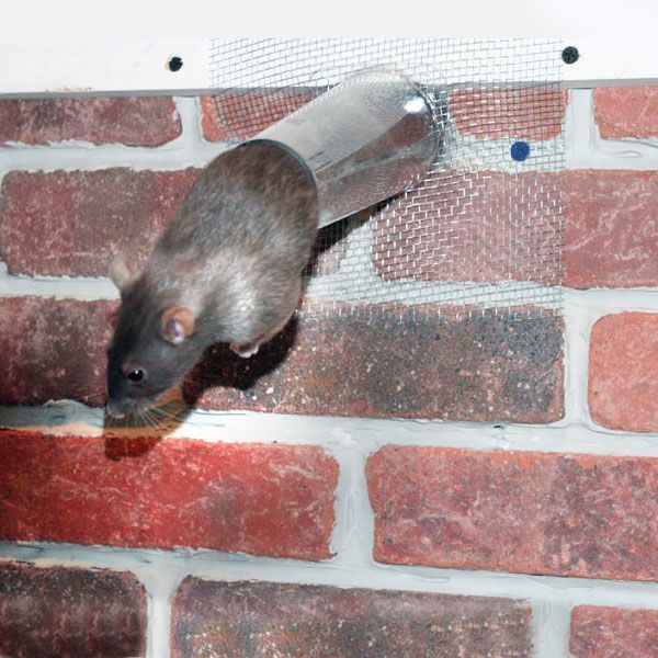 Bat Removal Cone, Animal Control, 6in.