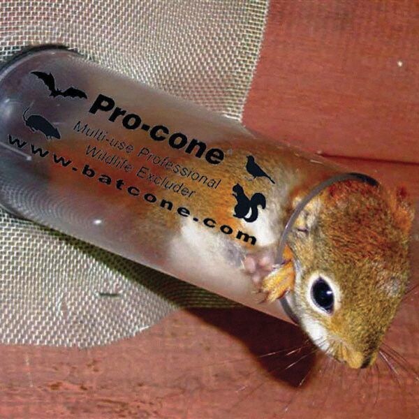 Bat Removal Cone, 6 in., PK6