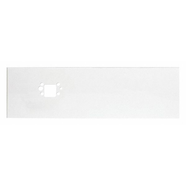 Back Panel