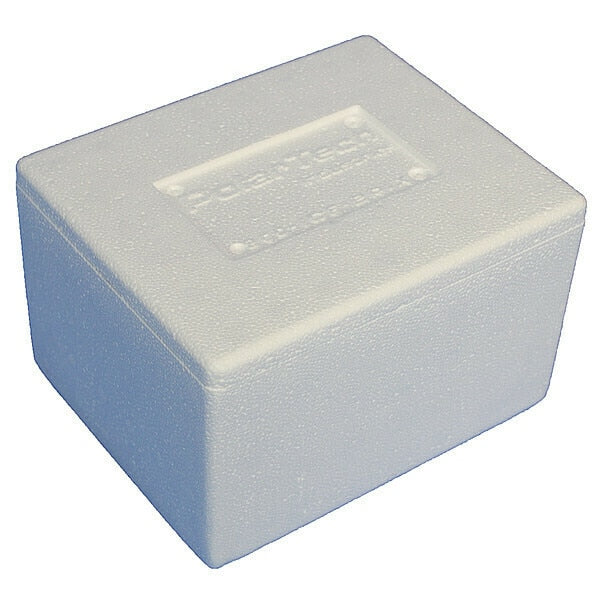 Insulated Bio Foam Shipping Container, Inside 6âL x 4.5âW x 3âD
