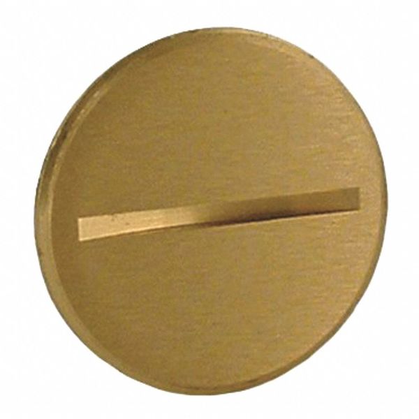 Flush Plug, 3/4