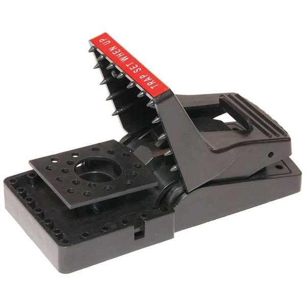 Rat Trap, 3-1/2 In. L, 5-7/8 In. W