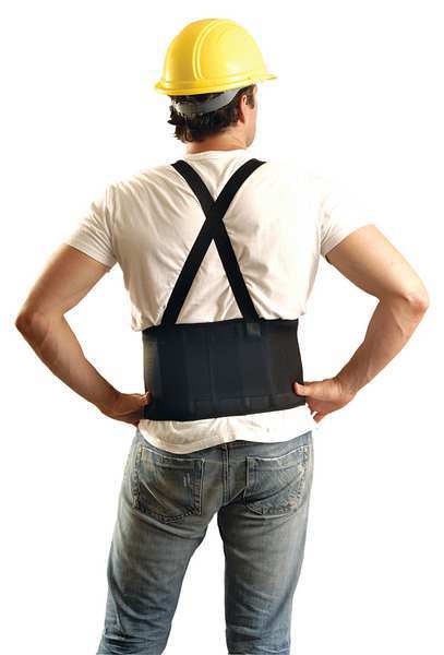 Back Support, 8 In., S