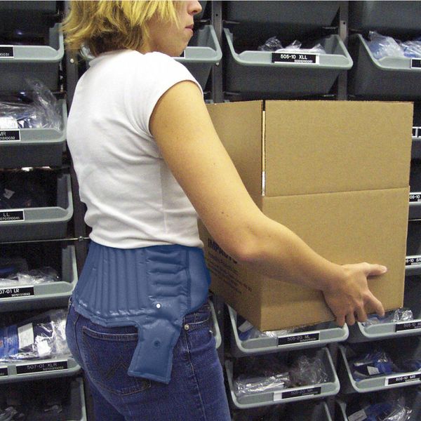 Back Support, Blue, L