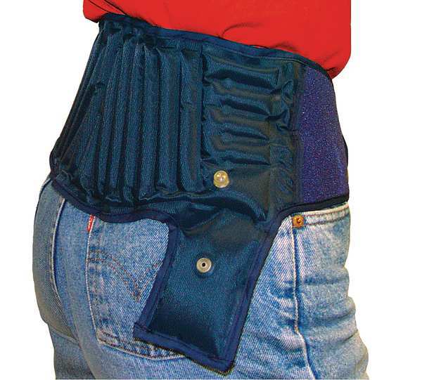 Back Support, Blue, L