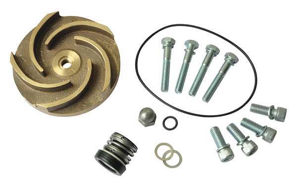 Pump Repair Kit, For 2ZWR9A, 2ZWT1A