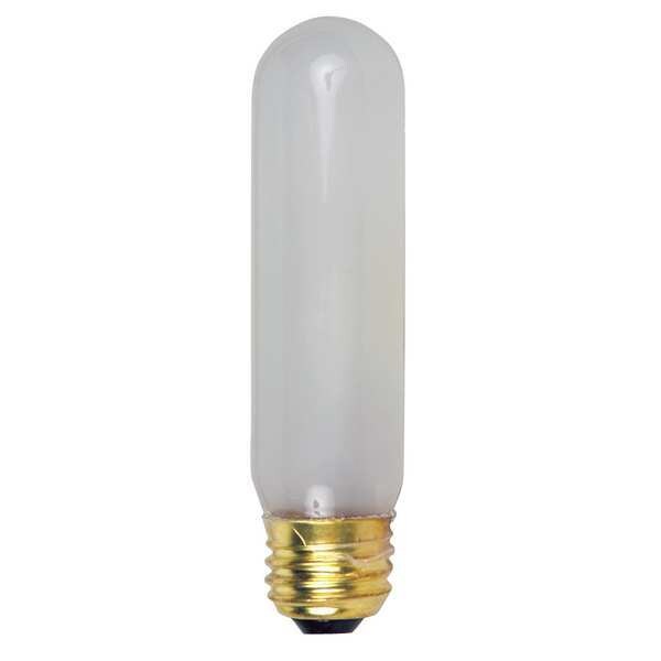 Lamp, 120V