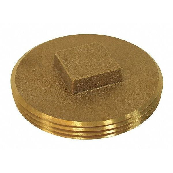 Brass, Raised Head, Plug