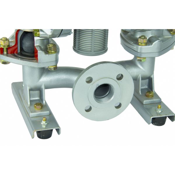 Double Diaphragm Pump, Cast iron, Air Operated, Santoprene, 107 GPM