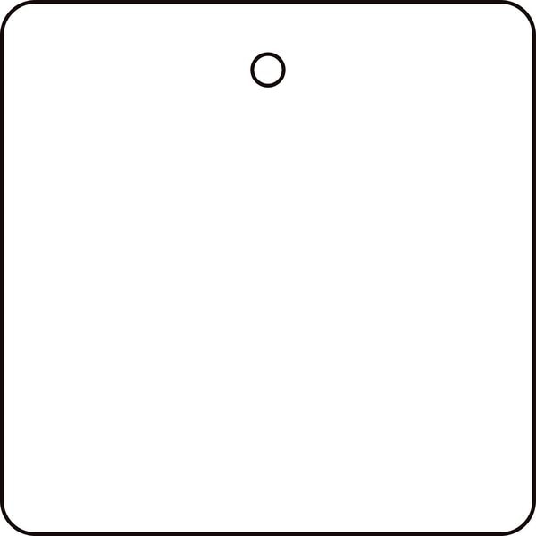 Blank Tag, 2 x 2In, White, PK10