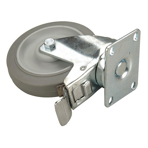 Caster, 5 In. Dia