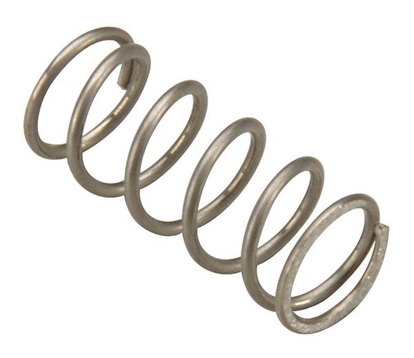Valve Spring