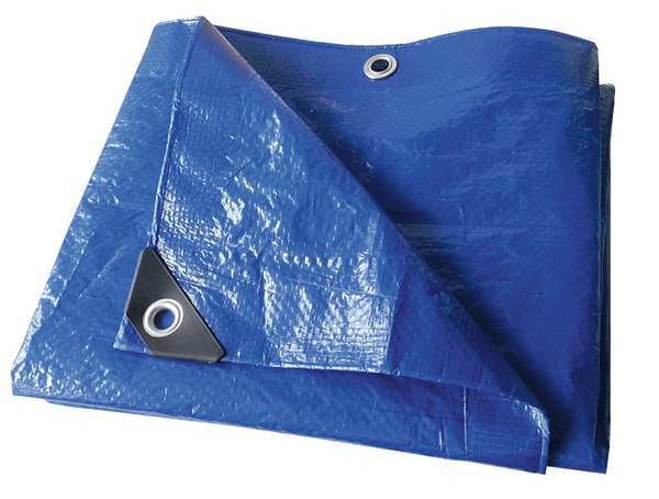 Tarp, 30 x 50 ft, 3.2 mil, Polyethylene, Standard Duty, Blue, Mildew Resistant, Tear Resistant