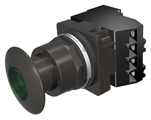 Illuminated Push Button, 30 mm, 1NO/1NC, Green