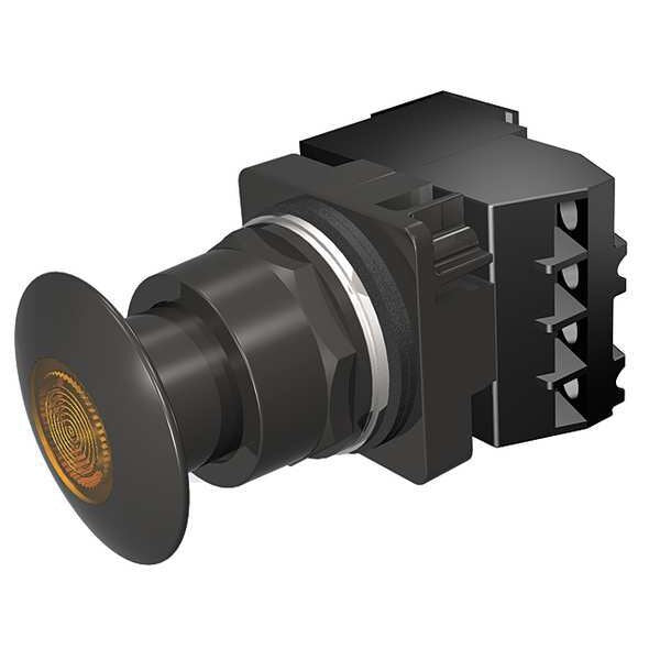 Illuminated Push Button, 30 mm, 1NO/1NC, Amber