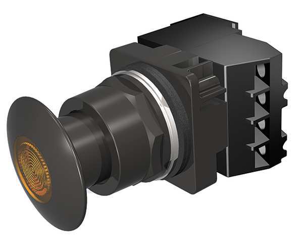 Illuminated Push Button, 30 mm, 1NO/1NC, Amber