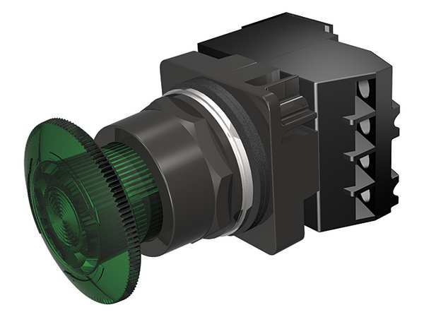 Illuminated Push Button, 30 mm, 1NO/1NC, Green