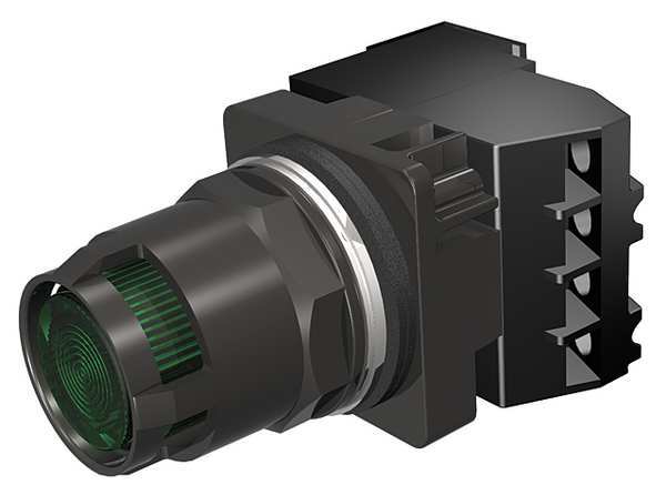 Illuminated Push Button, 30 mm, 1NO/1NC, Green