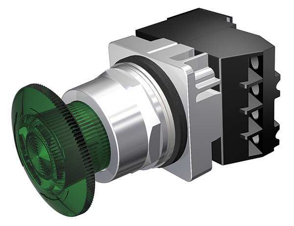 Illuminated Push Button, 30 mm, 1NO/1NC, Green