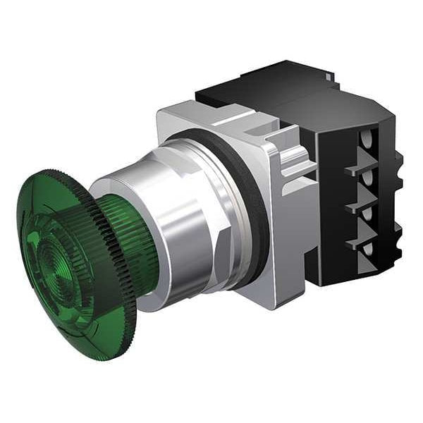 Illuminated Push Button, 30 mm, 1NO/1NC, Green