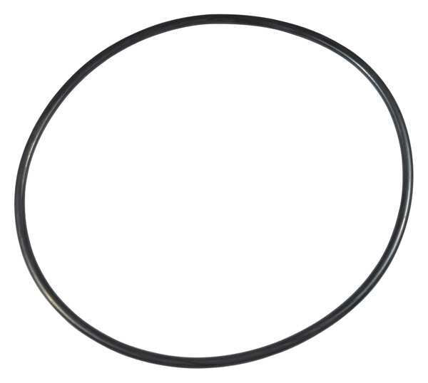Ss Pump O-Ring
