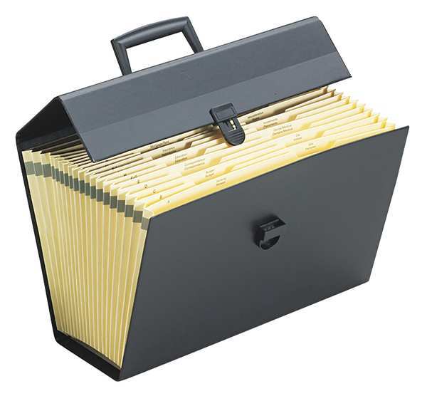 Expandable File Organizer 19 Pocket, 15