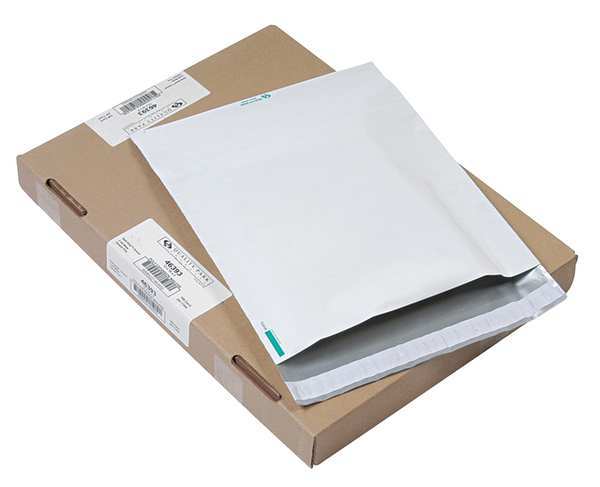 Expandable Envelope, White, Poly, PK100