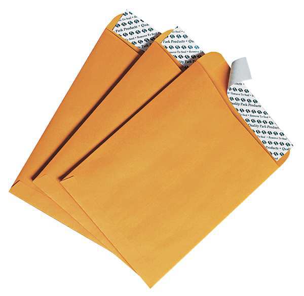 Catalog Envelope, Lt Brown, Kraft, PK100