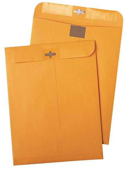 Catalog Envelope, Lt Brown, Kraft, PK100