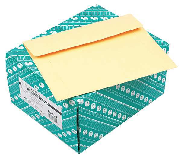 Filing Envelope, Cameo Buff, PK100