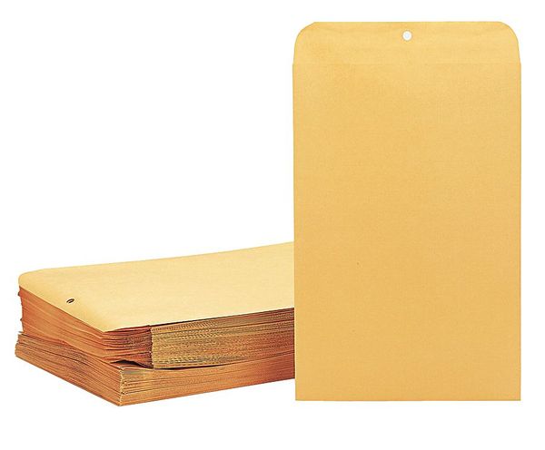 Catalog Envelope, Lt Brown, Kraft, PK100