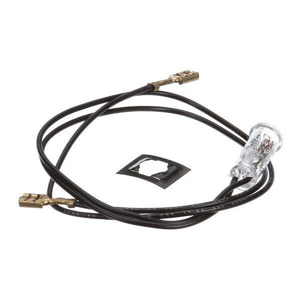 Lamp, 125VAC