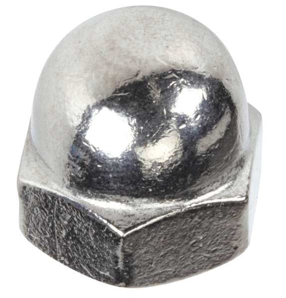 Nut, Acorn