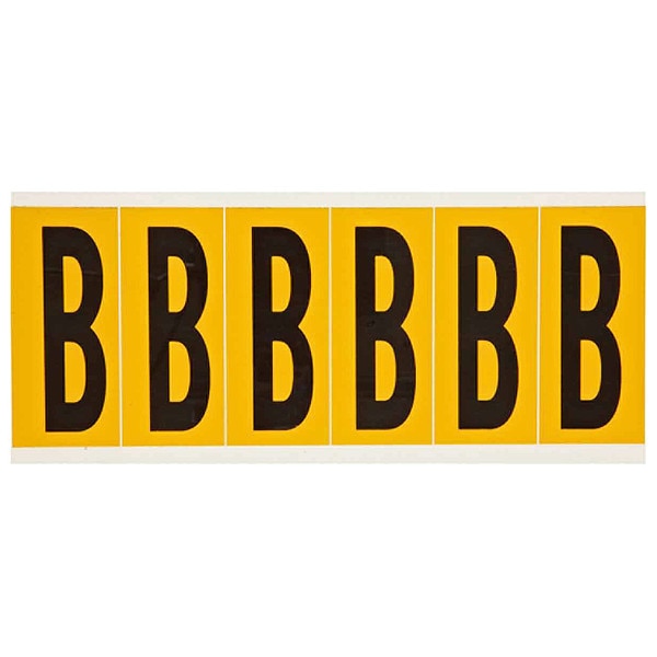 Letter Label, B, 1-1/2 in. W x 3-1/2 in. H